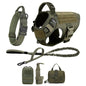 Large Dog Harness And Leash Set