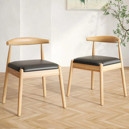 Dining Chairs Set of 2, Mid-Century Modern