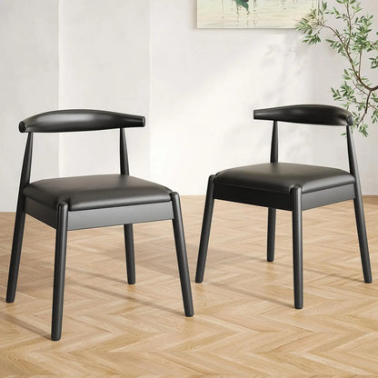 Dining Chairs Set of 2, Mid-Century Modern