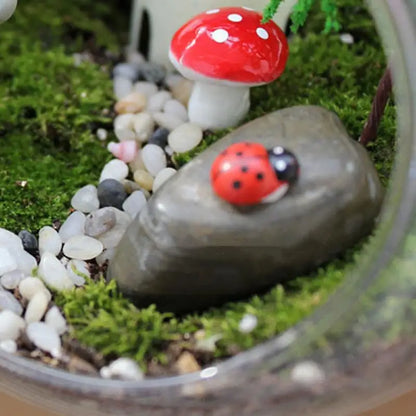 Terrariums Glass Round Terrarium Fish bowl Plant Flowerpot Vase