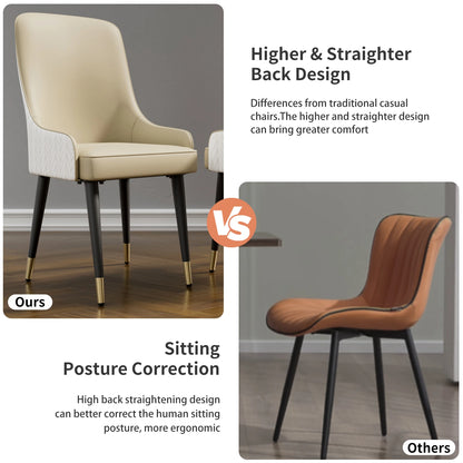Modern Leather Set of 2 Dining Chairs