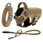 Large Dog Harness And Leash Set