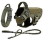 Large Dog Harness And Leash Set