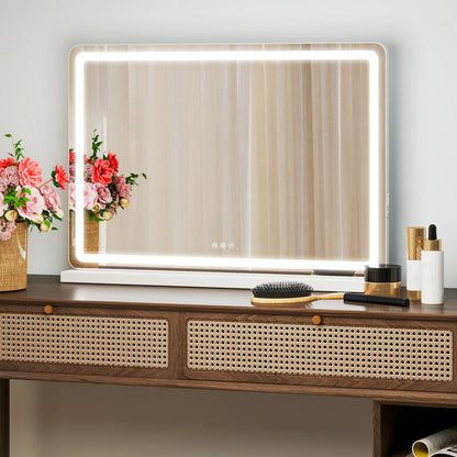 LED Vanity Mirror with  Dimmable 3 Color Lights
