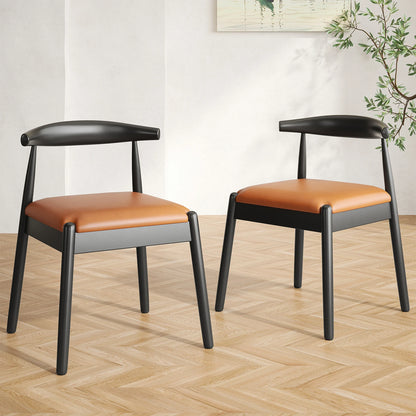 Dining Chairs Set of 2, Mid-Century Modern