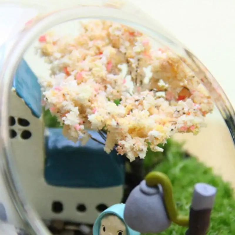 Terrariums Glass Round Terrarium Fish bowl Plant Flowerpot Vase