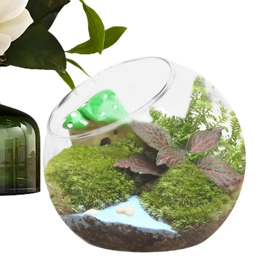Terrariums Glass Round Terrarium Fish bowl Plant Flowerpot Vase