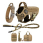 Large Dog Harness And Leash Set